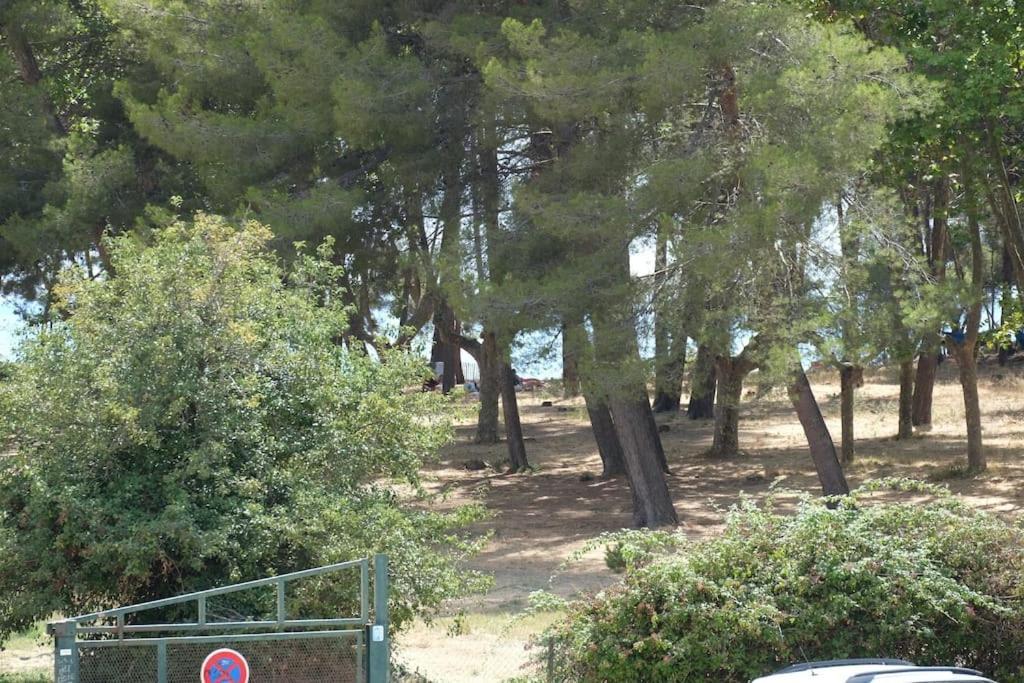 סן-מנדרייה-סור-מר Petit Paradis Classe 3 Etoiles A 200M De La Plage! Terrasse-Wifi-Parking-Clim מראה חיצוני תמונה