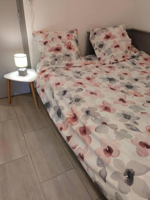 סן-מנדרייה-סור-מר Petit Paradis Classe 3 Etoiles A 200M De La Plage! Terrasse-Wifi-Parking-Clim מראה חיצוני תמונה