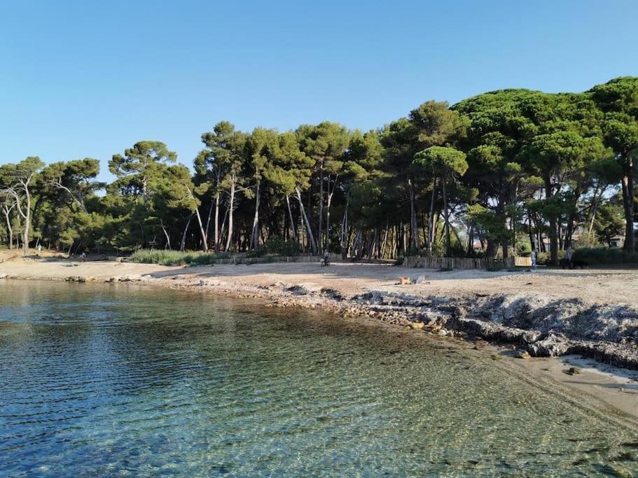 סן-מנדרייה-סור-מר Petit Paradis Classe 3 Etoiles A 200M De La Plage! Terrasse-Wifi-Parking-Clim מראה חיצוני תמונה
