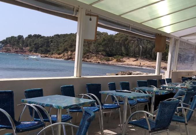 סן-מנדרייה-סור-מר Petit Paradis Classe 3 Etoiles A 200M De La Plage! Terrasse-Wifi-Parking-Clim מראה חיצוני תמונה