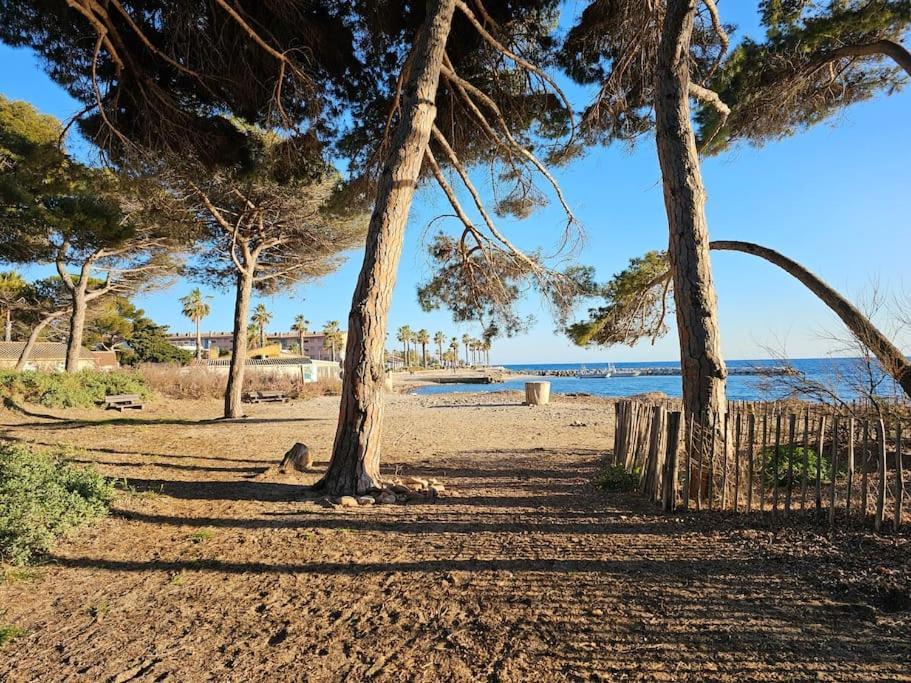 סן-מנדרייה-סור-מר Petit Paradis Classe 3 Etoiles A 200M De La Plage! Terrasse-Wifi-Parking-Clim מראה חיצוני תמונה