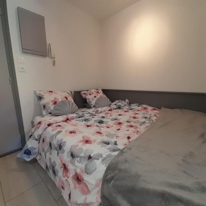 סן-מנדרייה-סור-מר Petit Paradis Classe 3 Etoiles A 200M De La Plage! Terrasse-Wifi-Parking-Clim מראה חיצוני תמונה