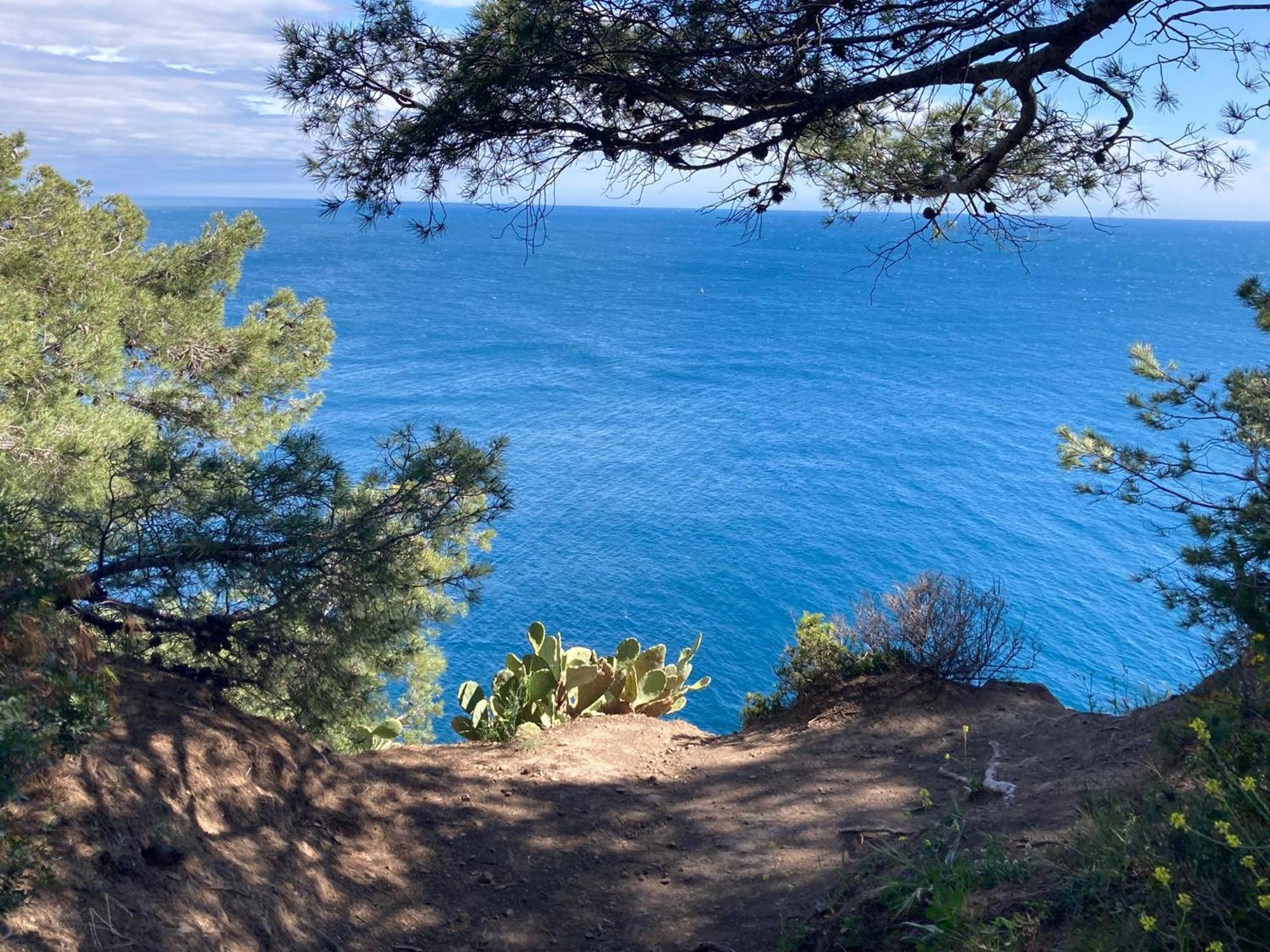 סן-מנדרייה-סור-מר Petit Paradis Classe 3 Etoiles A 200M De La Plage! Terrasse-Wifi-Parking-Clim מראה חיצוני תמונה